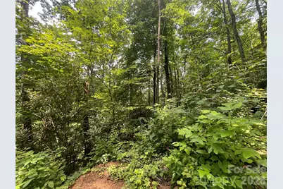 242 Floyd Road, Waynesville, NC 28786 - Photo 3
