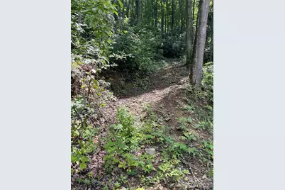 242 Floyd Road, Waynesville, NC 28786 - Photo 9