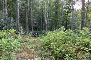 Lot 41 Peace Wood Ln, Hendersonville, NC 28792 - Photo 1