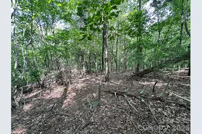 0 John Byrd Road, Morganton, NC 28655 - Photo 11