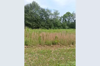 00 Henson Road, Forest City, NC 28043 - Photo 3