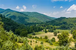 511 McClure Crk Rd, Canton, NC 28716 - Photo 43