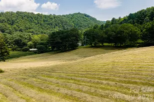 511 McClure Crk Rd, Canton, NC 28716 - Photo 37