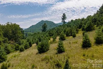 31 McClure Creek Road, Canton, NC 28716 - Photo 39