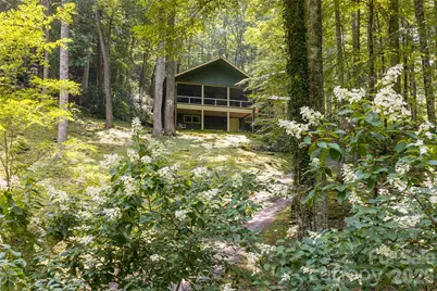 31 McClure Creek Road, Canton, NC 28716 - Photo 3