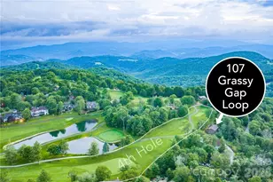 107 Grassy Gap Loop Rd, Beech Mountain, NC 28604 - Photo 7