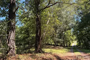2946 Blacksburg Rd, Grover, NC 28073 - Photo 3