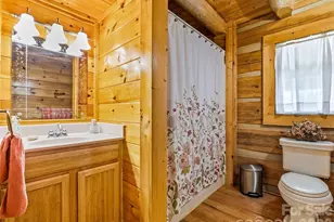 226 High Top Mountain Rd, Leicester, NC 28748 - Photo 15