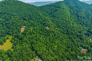 226 High Top Mountain Rd, Leicester, NC 28748 - Photo 39
