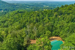 226 High Top Mountain Rd, Leicester, NC 28748 - Photo 35