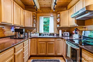 226 High Top Mountain Rd, Leicester, NC 28748 - Photo 11