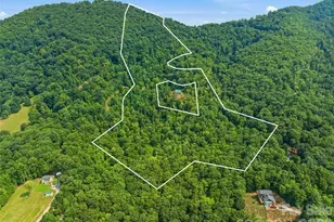 226 High Top Mountain Rd, Leicester, NC 28748 - Photo 33