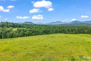 1054 Rainbow Rapids Rd, Rutherfordton, NC 28139 - Photo 3