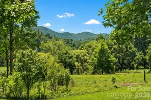 789 Morrow Branch Rd, Leicester, NC 28748 - Photo 5