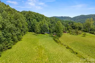 789 Morrow Branch Rd, Leicester, NC 28748 - Photo 41