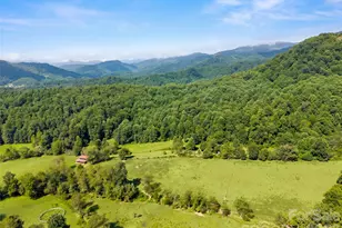 789 Morrow Branch Rd, Leicester, NC 28748 - Photo 37
