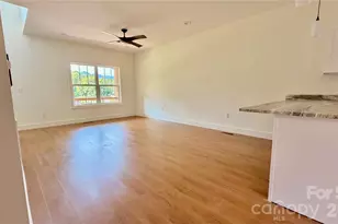 8 Lily Xing Ln, Black Mountain, NC 28711 - Photo 9