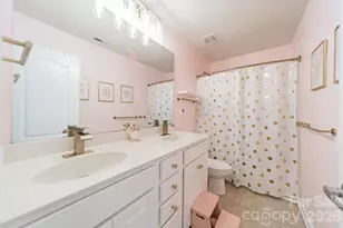 10003 Blue Stream Ln, Indian Trail, NC 28079 - Photo 11