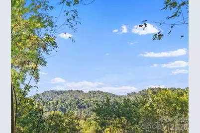 39 Spooks Branch Extension, Asheville, NC 28804 - Photo 3