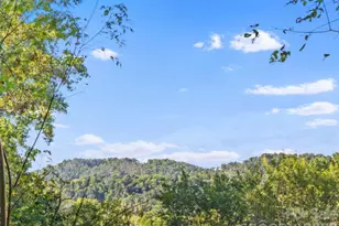 39 Spooks Branch Extension, Asheville, NC 28804 - Photo 3