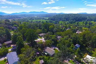 43 Moore Ave, Asheville, NC 28806 - Photo 25