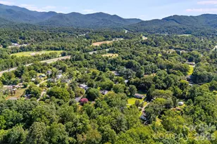 28 Greenbriar Rd, Black Mountain, NC 28711 - Photo 45