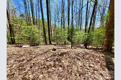 Lot 9 Hemlock Falls Drive #9, Sylva, NC 28779 - Photo 25