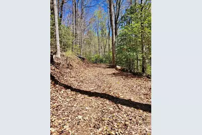 Lot 9 Hemlock Falls Drive #9, Sylva, NC 28779 - Photo 29