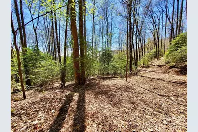 Lot 9 Hemlock Falls Drive #9, Sylva, NC 28779 - Photo 21