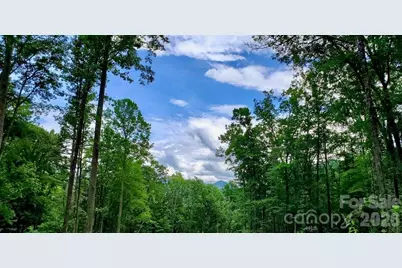 Lot 9 Hemlock Falls Drive #9, Sylva, NC 28779 - Photo 11
