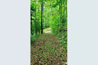 Lot 9 Hemlock Falls Drive #9, Sylva, NC 28779 - Photo 5