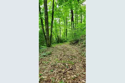 Lot 9 Hemlock Falls Drive #9, Sylva, NC 28779 - Photo 3