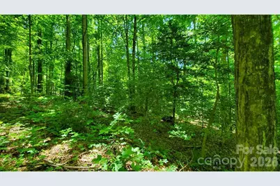 Lot 9 Hemlock Falls Drive #9, Sylva, NC 28779 - Photo 13