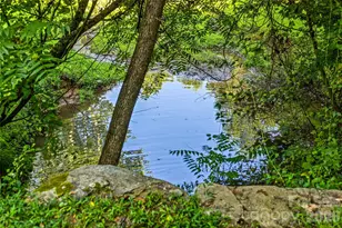 820 Merrills Cove Rd, Asheville, NC 28803 - Photo 43