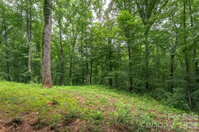 698 Heartwood Drive, Marion, NC 28752 - Photo 35