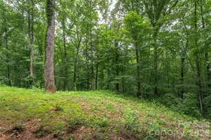698 Heartwood Dr, Marion, NC 28752 - Photo 35