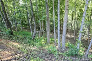1646 Silver St, Morganton, NC 28655 - Photo 23