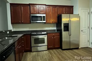 11342 Cedar Walk Lane, Charlotte, NC 28277 - Photo 3