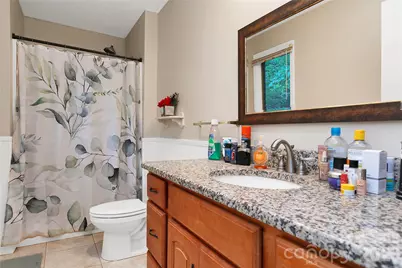 149 Tucked in Lane, Brevard, NC 28712 - Photo 27