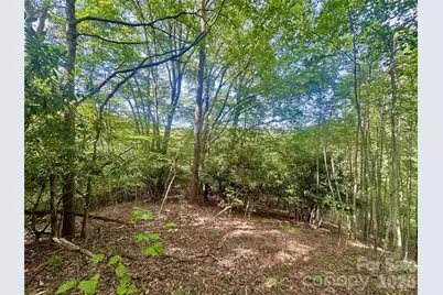 Tbd Old Anderson Quarry Road, Vilas, NC 28692 - Photo 13