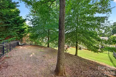 424 Anvil Draw Place, Rock Hill, SC 29730 - Photo 35