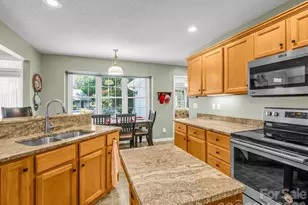 9 Kingfisher Ln, Mills River, NC 28759 - Photo 25