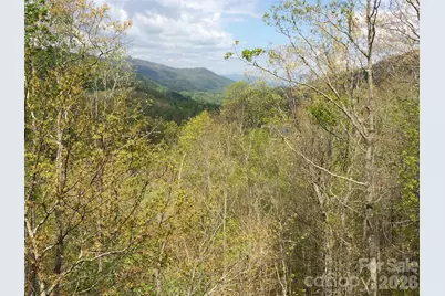 130 Cross Vine Drive #226, Tuckasegee, NC 28783 - Photo 45