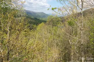 130 Cross Vine Dr, Tuckasegee, NC 28783 - Photo 45