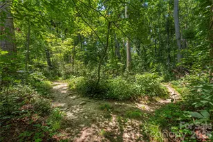 38 Forest View Dr, Asheville, NC 28804 - Photo 27