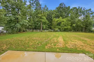 4527 Burrenfort Dr, Denver, NC 28037 - Photo 47
