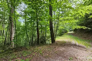 00 Autumn Dr, Waynesville, NC 28785 - Photo 1