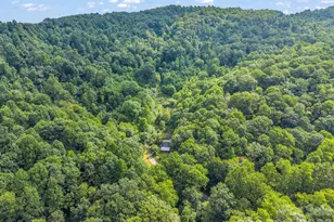 60 Owenby Cove Rd, Fairview, NC 28730 - Photo 37