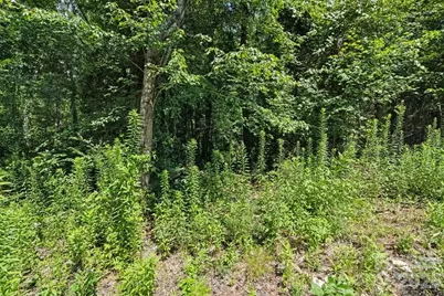 3423 Barr Road, Concord, NC 28027 - Photo 5