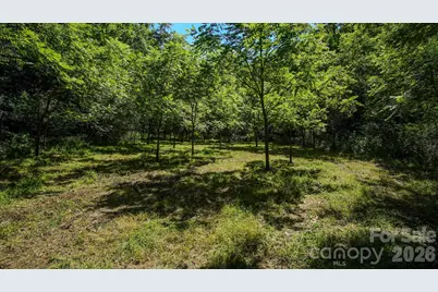 00 Ode Kerley Lane, Taylorsville, NC 28681 - Photo 19